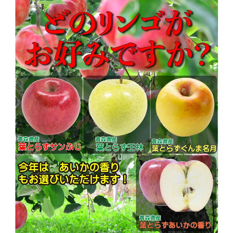 訳ありりんご 5kg 20玉前後 訳あり 青森県産 送料無料 葉取らずりんご 蜜入り サンふじ リンゴ 林檎 お得用 果物 フルーツ ５kg