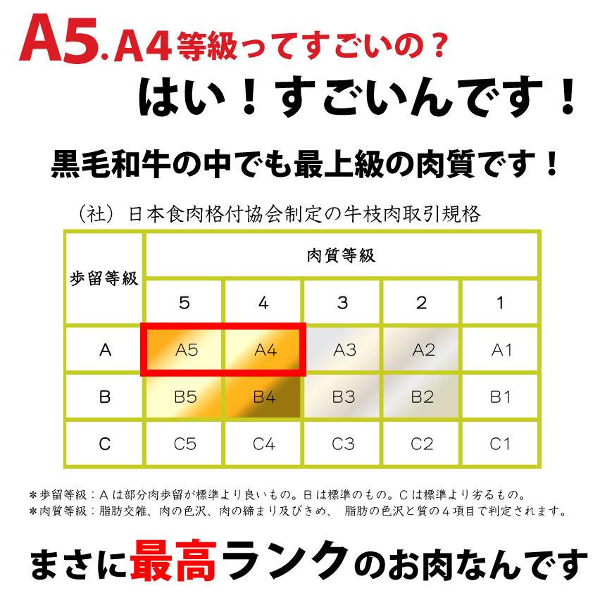 牛肉 肉 プレゼント 特選 オリーブ牛 A4,5等級 とろける 黒毛和牛 ロース 焼肉 1kｇ（250g×4）今だけタレ付き 凍眠 テクニカン  お歳暮 ギフト