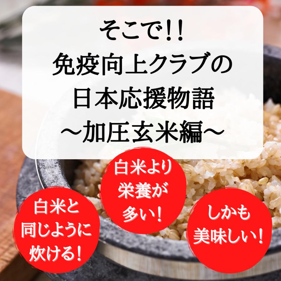 特殊加工 玄米 食べやすい 白米炊飯可能 GABA 食物繊維 国産 日本応援物語?加圧玄米編?