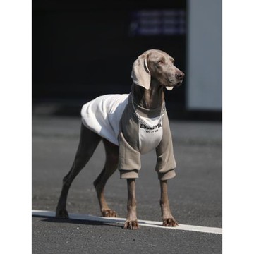 bigdog狗狗衣服大型犬春秋插肩袖薄款金毛拉布拉多網紅大狗狗衣服