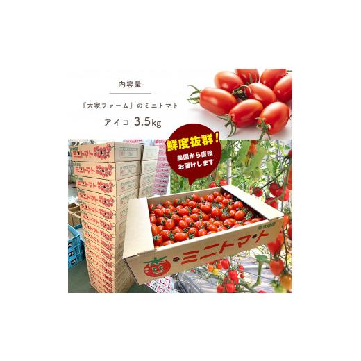 ふるさと納税 熊本県 玉名市 『大家ファーム』のミニトマト アイコ 3.5kg 熊本県玉名