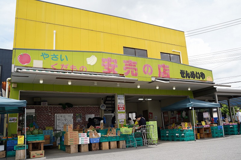 目利きのプロ 八百屋厳選 野菜詰め合わせセット（8～10種類お届け） H151-010