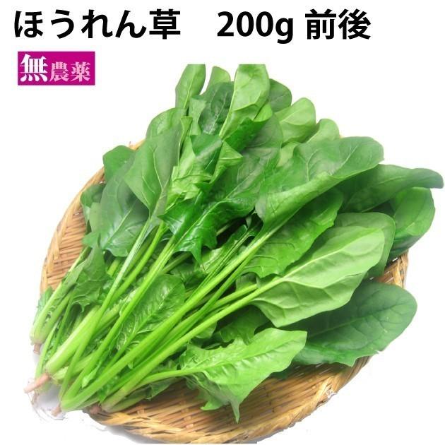 ほうれん草  無農薬栽培　 10把 　送料込