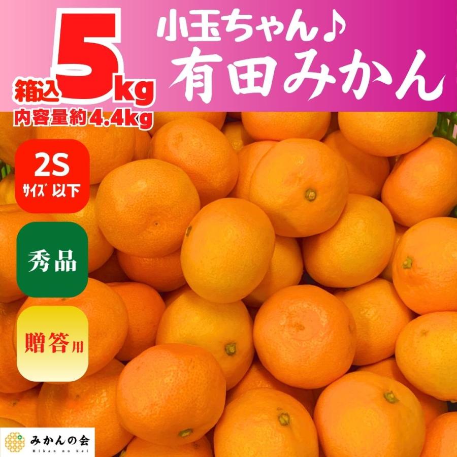 みかん 小玉ちゃん 箱込 5kg 内容量 4.4kg 2S サイズ以下 秀品 有田みかん 和歌山県産 産地直送 贈答用 