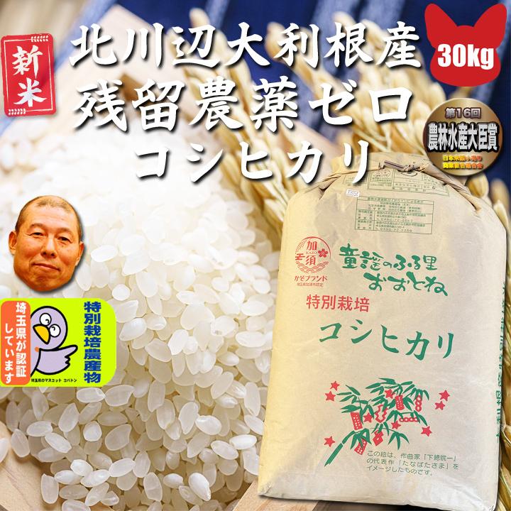 令和5年産 残留農薬ゼロ コシヒカリ 玄米 30ｋｇ　北川辺 大利根産 特栽減減  送料無料