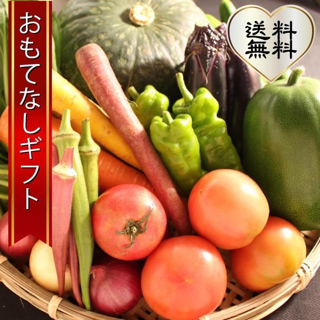 三浦野菜セット　三浦半島の畑で作られた野菜の１０種セット　2〜3人用　おもてなしギフト