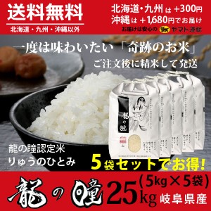 新米 龍の瞳 25kg （5kg×５袋） 岐阜県産 令和5年産米 白米 ご注文後に精米・発送 送料無料（一部地域除く）