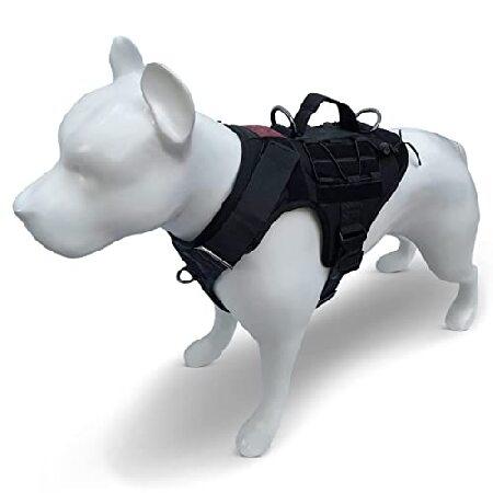 Albcorp service dog sales vest