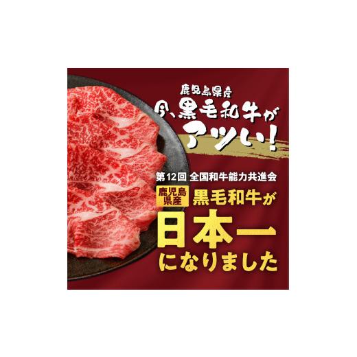 ふるさと納税 鹿児島県 鹿児島市 鹿児島県産黒毛和牛リブロース肉（5等級）　K171-002