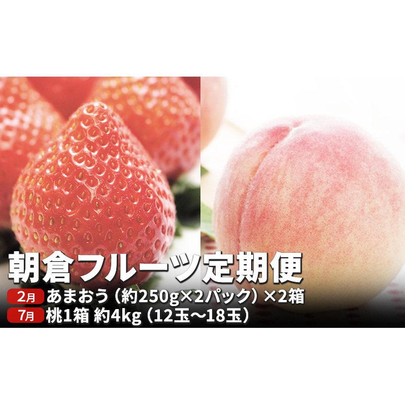 定期便 フルーツ 2回 限定 数量 いちご 約1kg もも 約4kg フルーツ定期便 朝倉 2024年発送 お届け 桃 モモ イチゴ あまおう 果物 くだもの デザート お楽しみ オンライン決済限定