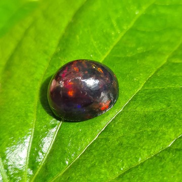 天然黑色埃塞俄比亞蛋白石尺寸 11×13×9 毫米重 7.50 克拉