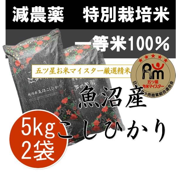 新米 令和5年産 新潟県 魚沼産 コシヒカリ10kg (5kg×2袋) 特別栽培米(減農薬米・減化学肥料米)