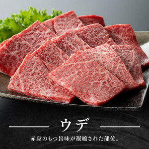 宮崎牛 赤身 霜降り 焼肉 2種 400g