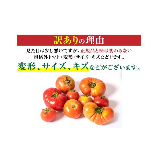 ふるさと納税 熊本県 八代市    八代市産 規格外トマト 2kg 熊本県 トマト 野菜