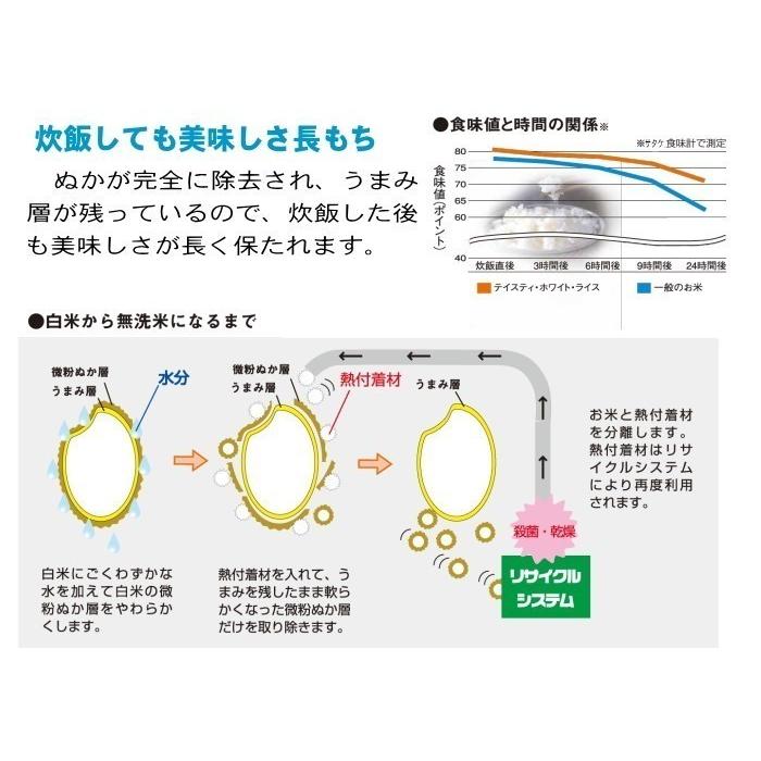 米 無洗米 20kg 10kg×2袋 送料無料 美膳 お米 国内産 白米