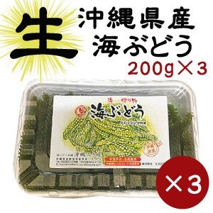 海ぶどう200g×3パックセット