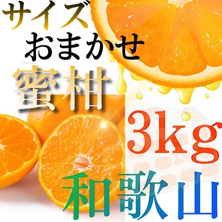 サイズお任せ 和歌山 有田の蜜柑 Ｓ・M・Lサイズ ３kg 秀品以上の高ランク　農園よりお客様へ １２月初めより 北海道、沖縄、離島への発送不可