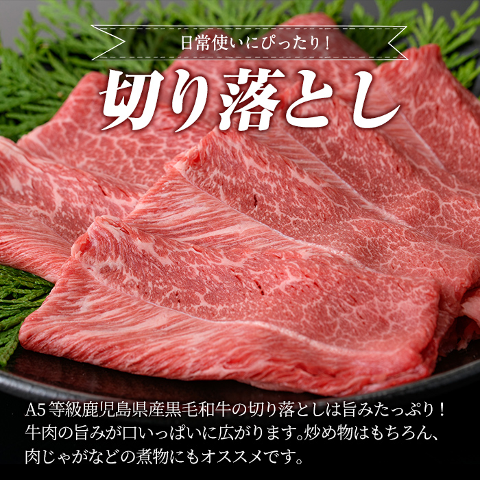 a855 ≪A5等級≫鹿児島県産黒毛和牛切り落とし計600g(300g×2P)姶良市 国産 牛肉 切り落とし