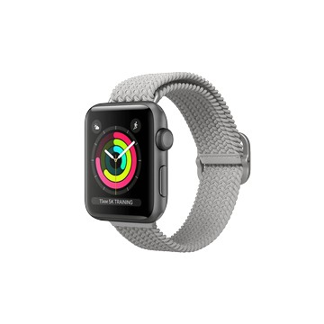 Apple Watch Series 2 (42mm) Apple Watch 專用編織錶帶 灰