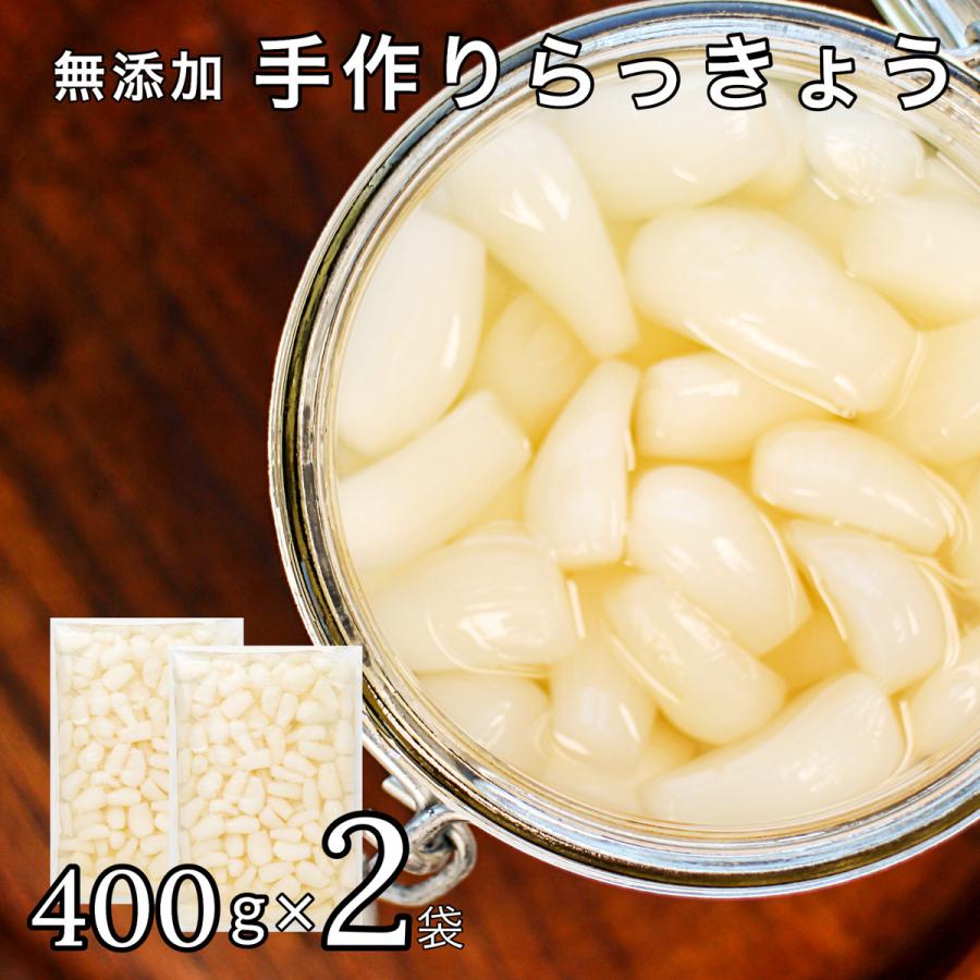 手作り らっきょう 国産 無添加 400g×2袋 下処理済み 塩らっきょう 福井 三里浜 簡単 お試し 洗い らっきょう 無化調 送料無料 