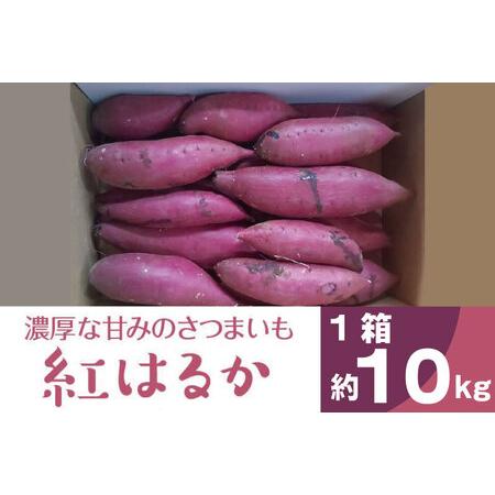 ふるさと納税 BZ-14  2023年度産濃厚な甘みのさつまいも　紅はるか　約10kg 茨城県行方市