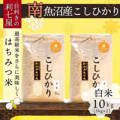 ふるさと納税 南魚沼市 南魚沼産コシヒカリ『はちみつ米』精米5kg×2袋