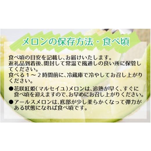 ふるさと納税 福井県 あわら市 《全6回》あわら満喫 6種 フルーツ定期便 《あわらの旬が色々楽しめる♪》／ 果物 旬 食べ比べ 贈り物 定期便 マル…