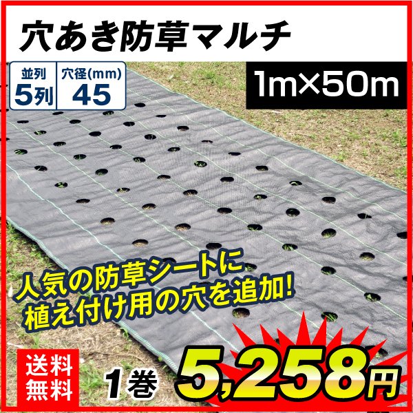 農業用マルチシート 穴あき防草マルチ 5列45 1×50m 1巻1組 農用 マルチング 防草シート 被覆資材 ポリプロピレン 防草 透水 地温上昇  国華園 通販 LINEポイント最大0.5%GET | LINEショッピング