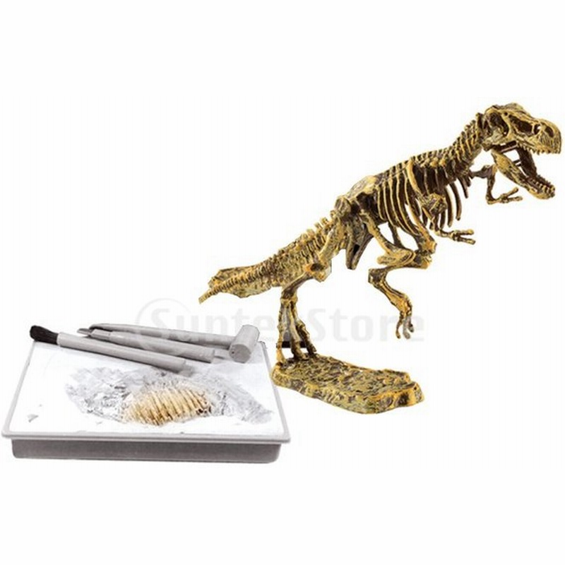 5色選択 樹脂 プラスター製 恐竜化石模型 ハンマー チゼル ブラシ 発掘キット チラノサウルス 通販 Lineポイント最大0 5 Get Lineショッピング