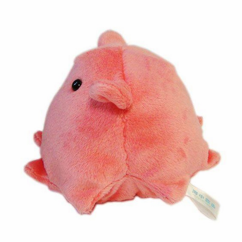 ①今だけプレゼント付き♥ヒトデぬいぐるみ☆ハンドメイド海ぬいぐるみ 星 水族館 ヒトデ ぬいぐるみ 水族館 おもちゃ 人形 ぽけぷに 海星