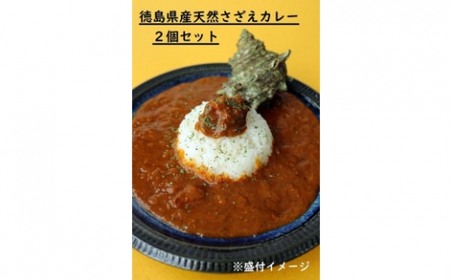 徳島県産天然さざえカレー　２個セット