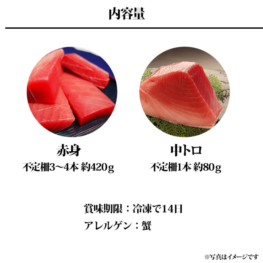 産地直送 お取り寄せグルメ ギフト 天然南 まぐろ 赤身 ＆ 中トロ 刺身 セット 魚介 食品 送料無料