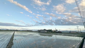 礁溪悠哉397小農田新樂園五結店｜宜蘭縣礁溪鄉玉田段