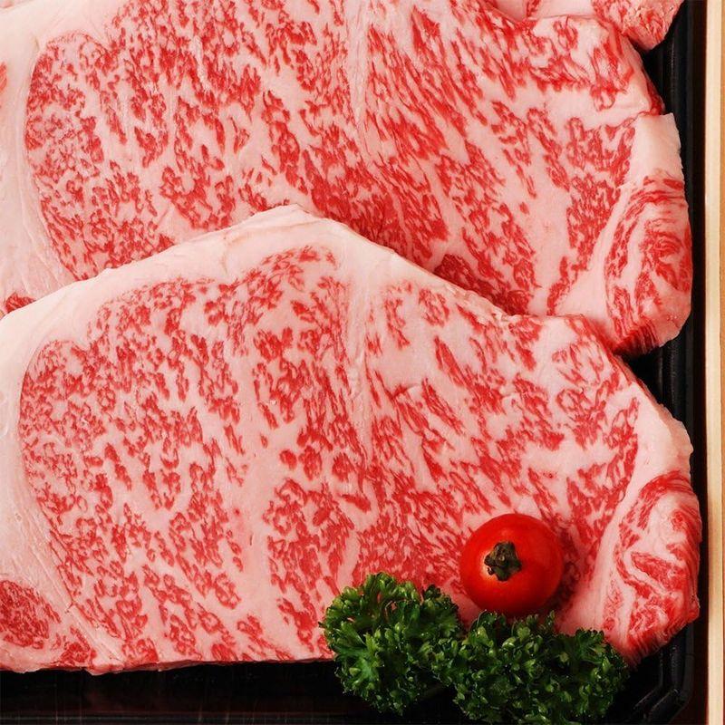 冷凍配送 牛肉 九州産 最高級 黒毛和牛 「 藤彩牛 」 霜降り サーロイン ステーキ （ A4 A5 ） (200g×2枚)