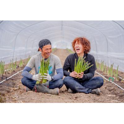 ふるさと納税 富良野市 北海道富良野市・益田農園産・春一番アスパラ(S〜2L混合)500g