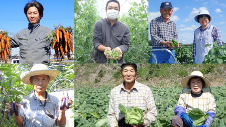  産地直送 ！ 旬 の 産直 野菜 セット 詰め合わせ  BOX 新鮮 詰合せ つめあわせ 直送 茨城 茨城県 おまかせ [CN001ya]