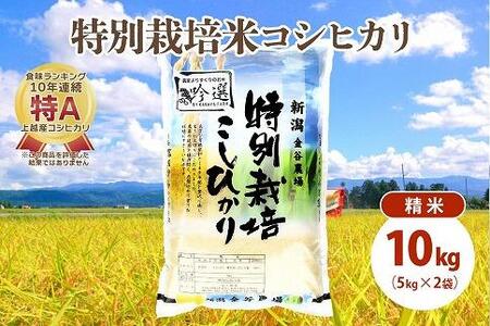 令和5年産|新潟上越三和産|特別栽培米コシヒカリ(従来種)10kg(5kg×2)精米