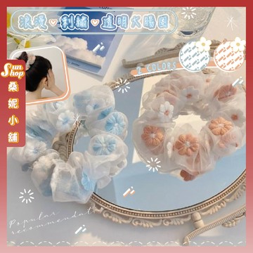🌞隔日到貨🌞浪漫刺繡透明大腸圈 髮圈 大腸圈 格子髮圈 綁髮繩  馬尾髮圈彈力髮圈  日系韓系髮飾彈力髮束 韓國髮圈