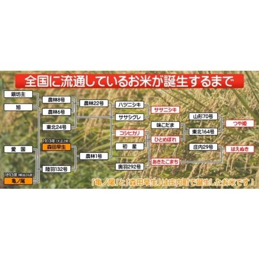 ふるさと納税 山形県 庄内町 山形県産雪若丸ごはんパック 24個