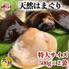 岬だよりの天然はまぐり 特大サイズ 500g×2袋