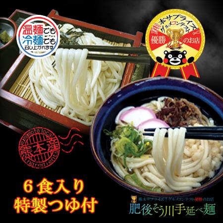 うどん　乾麺　ポイント消化　送料無料　熊本県産小麦　6食入　手延べうどん（6食入りつゆ付）