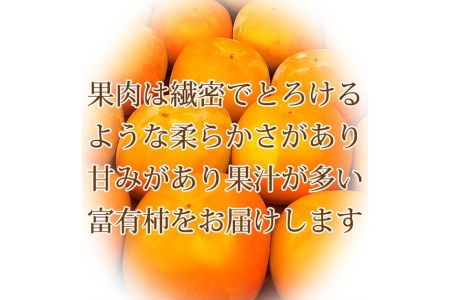 和歌山秋の味覚　富有柿　約7.5kg　※2024年11月上旬～11月下旬頃に順次発送予定■