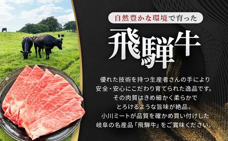 飛騨牛 Ａ5 スライス 600g（300g×2パック）ロース 又は 肩ロース 肉 ｜国産 肉 すき焼き しゃぶしゃぶ 和牛 黒毛和牛 グルメ A5等級 おすすめ AD112