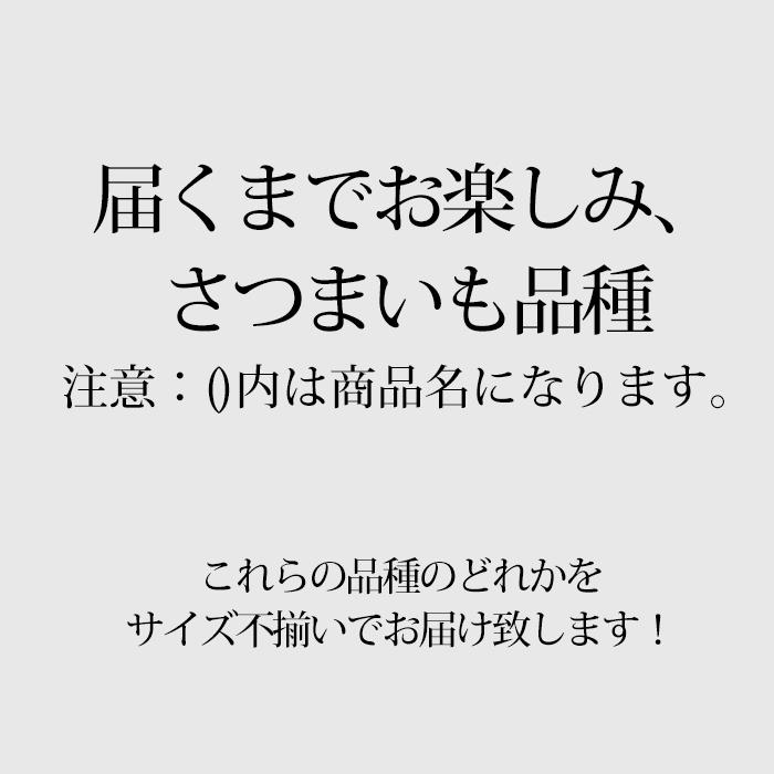 さつまいも 千葉県・茨城県産 訳あり C品 約5kg サイズおまかせ