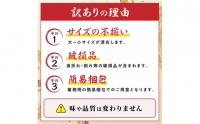 訳あり 冷凍 ボイル ずわいがに 爪 600g ズワイガニ