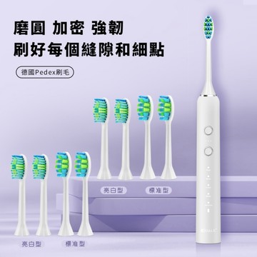 DALE磁懸浮聲波電動牙刷兩入組(附16隻刷頭)DL-5201