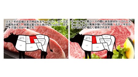 土佐和牛プレミアムビフテキセット 和牛ステーキ肉4枚セット　牛肉