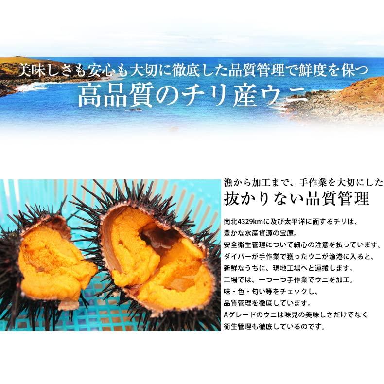 魚耕 生うに 300g 天然 無添加 ミョウバン不使用 チリ産 グレード 冷凍