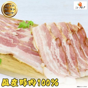 オランダ坂 ベーコンスライス 500g (100g×5P)