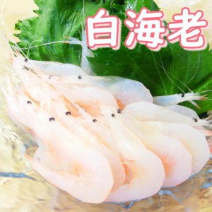 富山湾産 白海老 生食用 500g 国産 殻付き　しろえび　白えび 海老 エビ えび・白海老・